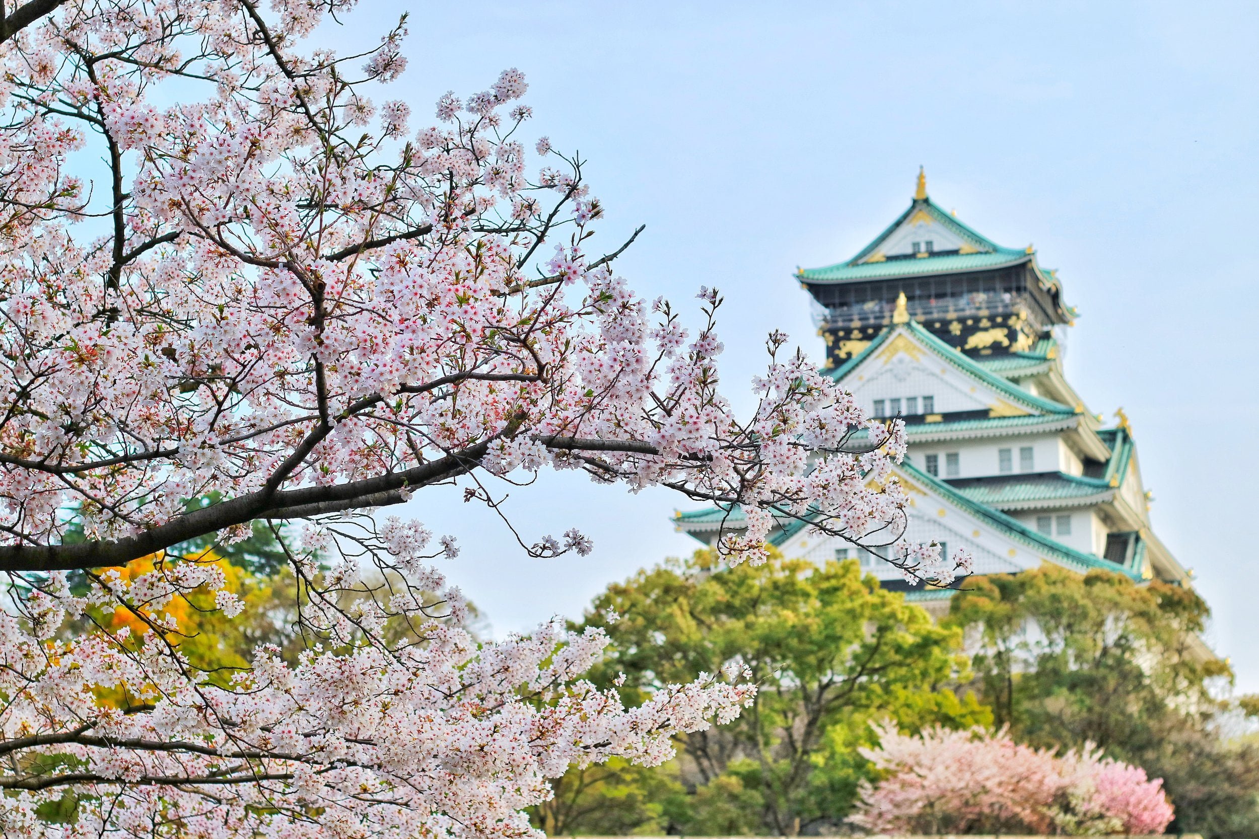 primavera